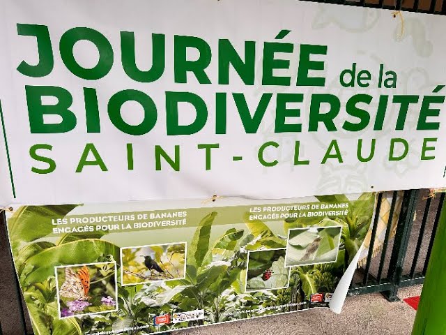 Saint-Claude :Matinée d'animations sur la Biodiversité.