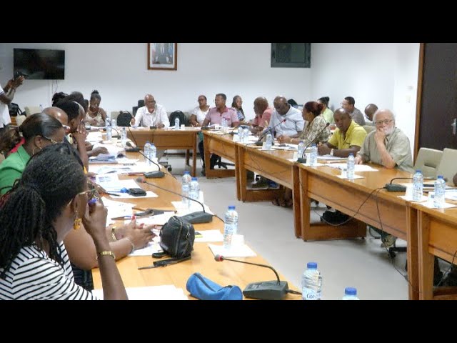 Réunion du Conseil Municipal de Vieux-Habitants .